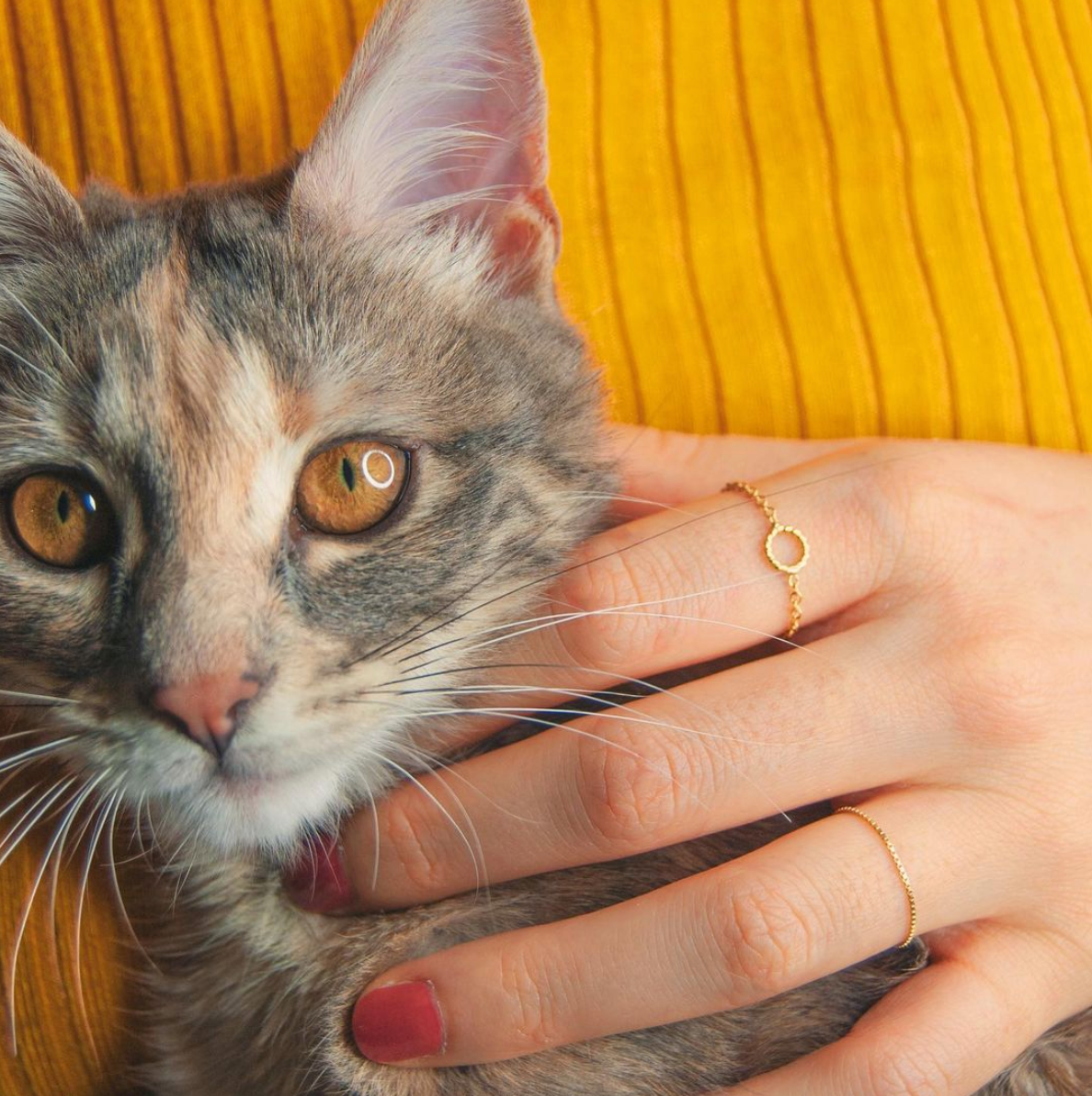Venice ring